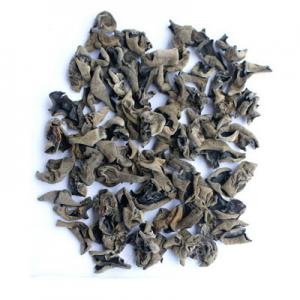 Black fungus